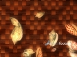 Shells And Flax 1064